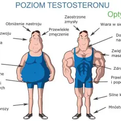 Podwyższony poziom testosteronu u mężczyzn: objawy i skutki zdrowotne