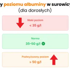 Podwyższony poziom białka we krwi - poznaj najczęstsze przyczyny i skutki