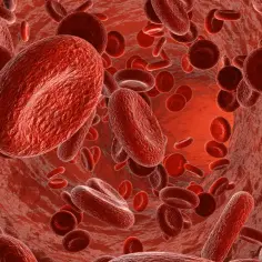 Podwyższony poziom hemoglobiny: Przyczyny, objawy i skutki dla zdrowia